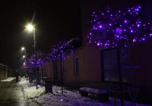 LUČKE 20 FOTO LJUBO VUKELIČ